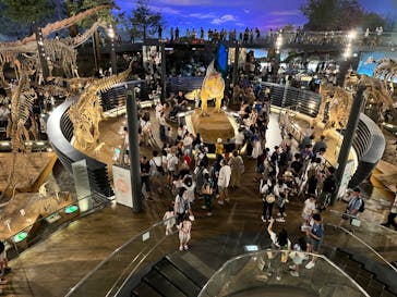 福井県立恐竜博物館に投稿された画像（2024/7/29）