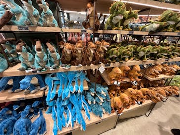 福井県立恐竜博物館に投稿された画像（2024/7/29）