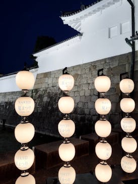 NAKED×京都水族館に投稿された画像（2024/7/29）