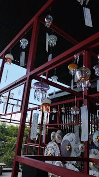 京都水族館に投稿された画像（2024/7/29）