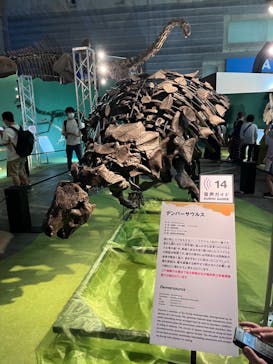 巨大恐竜展2024に投稿された画像（2024/7/29）