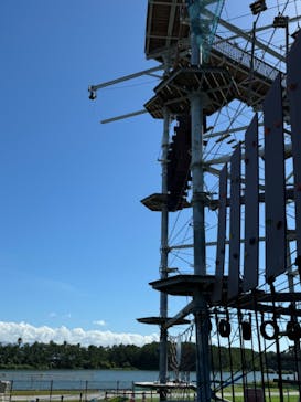 シー・ドラグーンに投稿された画像（2024/7/29）