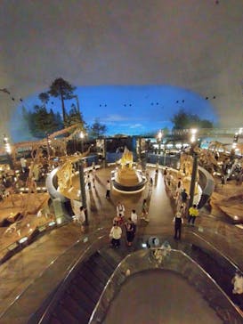 福井県立恐竜博物館に投稿された画像（2024/7/29）