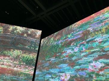 モネ＆フレンズ・アライブに投稿された画像（2024/7/29）