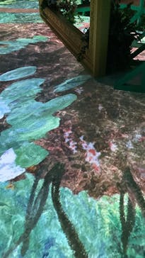 モネ＆フレンズ・アライブに投稿された画像（2024/7/29）