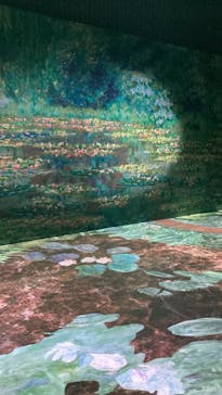 モネ＆フレンズ・アライブに投稿された画像（2024/7/29）