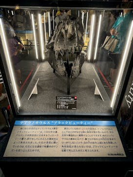 福井県立恐竜博物館に投稿された画像（2024/7/29）