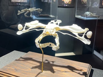 四国水族館に投稿された画像（2024/7/29）