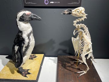 四国水族館に投稿された画像（2024/7/29）