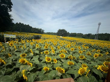 成田ゆめ牧場に投稿された画像（2024/7/29）