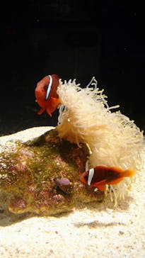 マリンワールド海の中道に投稿された画像（2024/7/29）