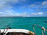 ブルーラグーン石垣島に投稿された画像（2024/7/29）