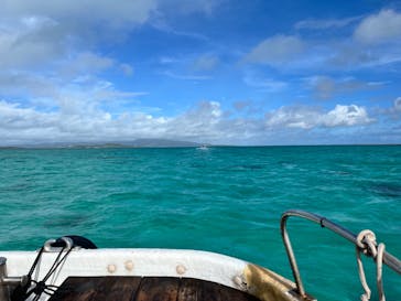 ブルーラグーン石垣島に投稿された画像（2024/7/29）