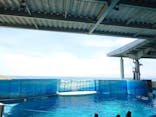 新江ノ島水族館に投稿された画像（2024/7/29）