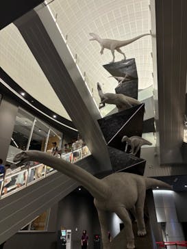 福井県立恐竜博物館に投稿された画像（2024/7/29）