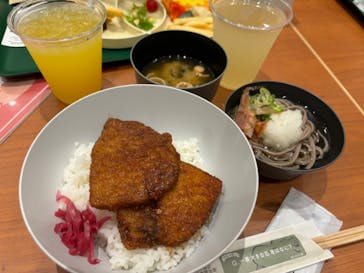 福井県立恐竜博物館に投稿された画像（2024/7/29）