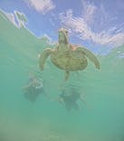 nico 宮古島に投稿された画像（2024/7/29）