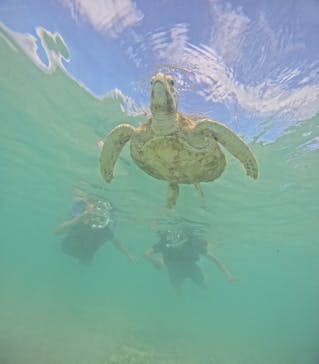 nico 宮古島に投稿された画像（2024/7/29）