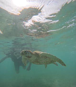 nico 宮古島に投稿された画像（2024/7/29）