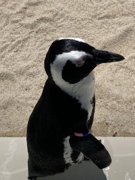 マリンワールド海の中道に投稿された画像（2024/7/29）