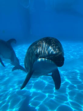 マリンワールド海の中道に投稿された画像（2024/7/29）