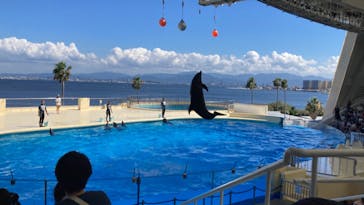 マリンワールド海の中道に投稿された画像（2024/7/29）