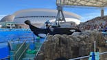 名古屋港水族館に投稿された画像（2024/7/29）
