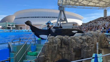 名古屋港水族館に投稿された画像（2024/7/29）