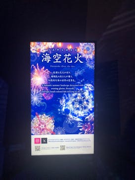 マクセル アクアパーク品川に投稿された画像（2024/7/29）