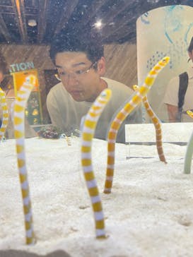 京都水族館に投稿された画像（2024/7/29）