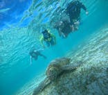 オースリーシュノーケル宮古島に投稿された画像（2024/7/29）