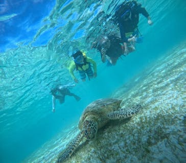 オースリーシュノーケル宮古島に投稿された画像（2024/7/29）