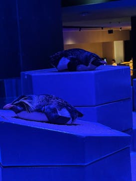 AOAO SAPPOROに投稿された画像（2024/7/29）