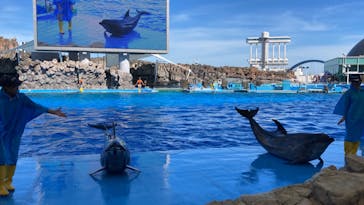 名古屋港水族館に投稿された画像（2024/7/29）