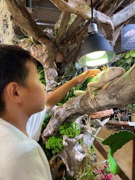 NARA IKIMONO MUSEUMに投稿された画像（2024/7/29）