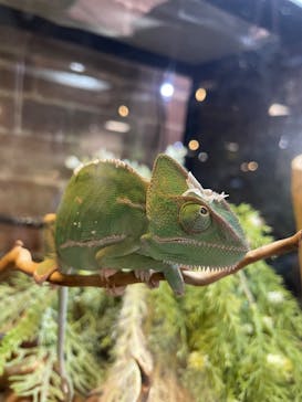 NARA IKIMONO MUSEUMに投稿された画像（2024/7/29）