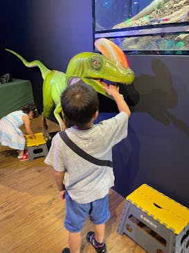 NARA IKIMONO MUSEUMに投稿された画像（2024/7/29）