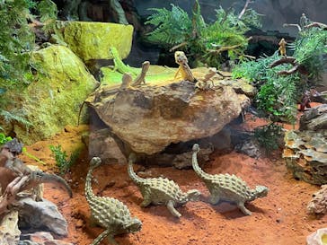 NARA IKIMONO MUSEUMに投稿された画像（2024/7/29）