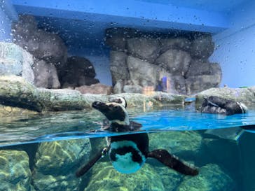 横浜・八景島シーパラダイスに投稿された画像（2024/7/29）