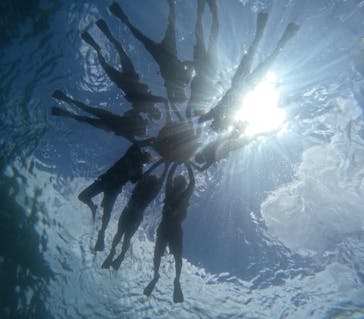 西表島 ADVENTURE PiPi（アドベンチャーピピ）に投稿された画像（2024/7/29）