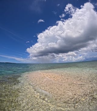 西表島 ADVENTURE PiPi（アドベンチャーピピ）に投稿された画像（2024/7/29）