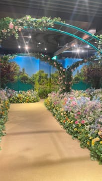 モネ＆フレンズ・アライブに投稿された画像（2024/7/29）