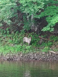 Outdoor Village ZION（アウトドア　ビレッジ　ザイオン）に投稿された画像（2024/7/29）