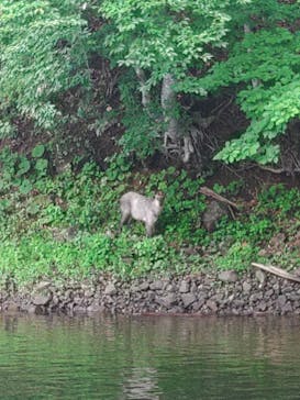 Outdoor Village ZION（アウトドア　ビレッジ　ザイオン）に投稿された画像（2024/7/29）