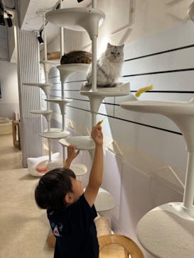 ナンジャタウンに投稿された画像（2024/7/29）