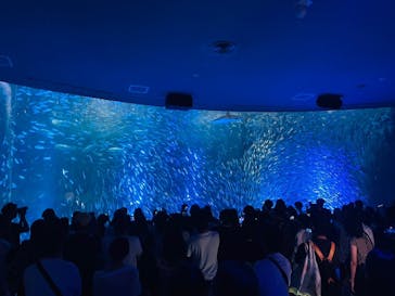 名古屋港水族館に投稿された画像（2024/7/29）