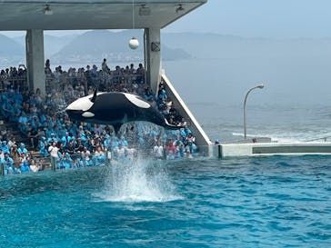 鴨川シーワールドに投稿された画像（2024/7/29）