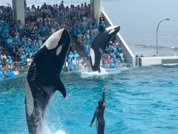 鴨川シーワールドに投稿された画像（2024/7/29）