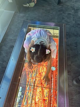 東京タワーに投稿された画像（2024/7/30）