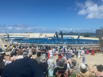 沖縄美ら海水族館に投稿された画像（2024/7/30）
